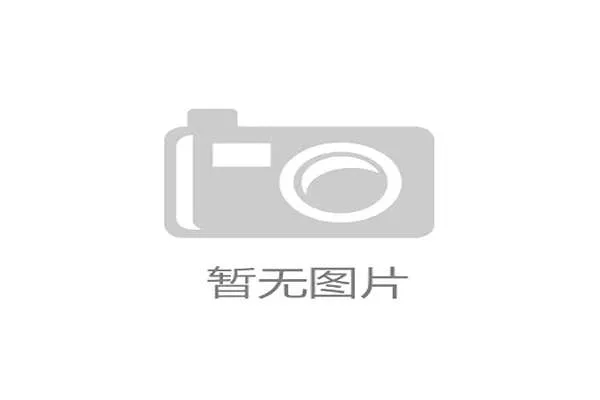 国家队战术中台接口标准与数据访问权限说明
