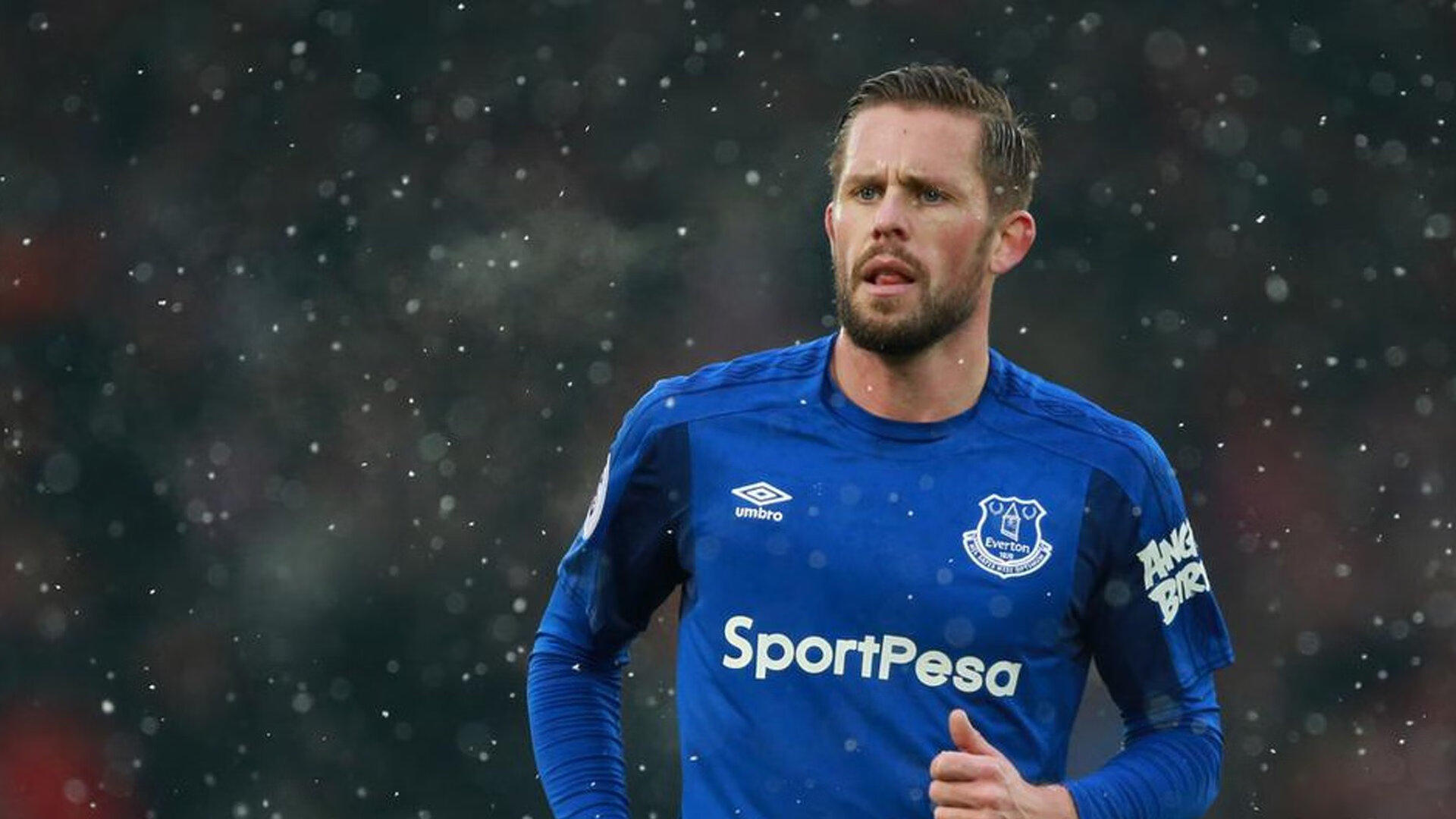 米兰体育在线登录-F1圣保罗站赛前展望：诺里斯抢占先机，维斯塔潘坐看迈凯伦内斗，圣保罗vs弗拉门